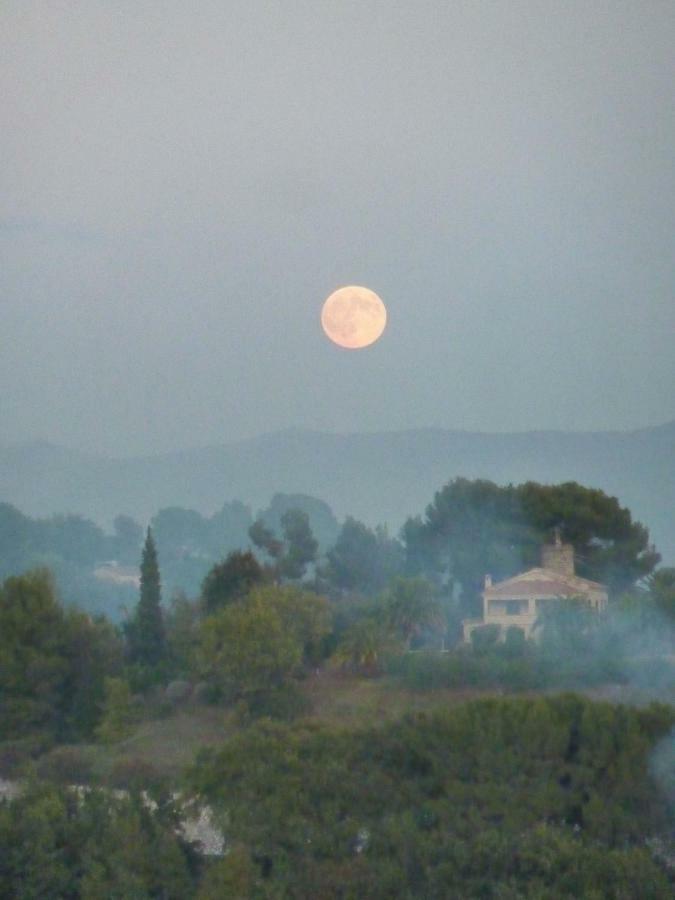 La Maison Aux Bonsais Saint-Paul-de-Vence Bagian luar foto